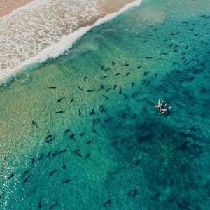 Meet your Posher, Le Pep